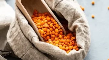 أسعار البقوليات في أسواق كفر الشيخ: العدس الأصفر يسجل 55 جنيهاً للجمهور